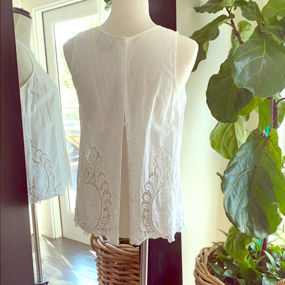 Cotton top